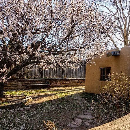 Adobe Rose Santa Fe